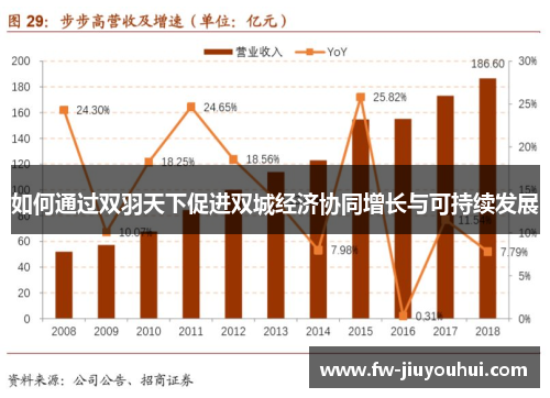 如何通过双羽天下促进双城经济协同增长与可持续发展