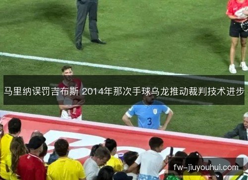 马里纳误罚吉布斯 2014年那次手球乌龙推动裁判技术进步